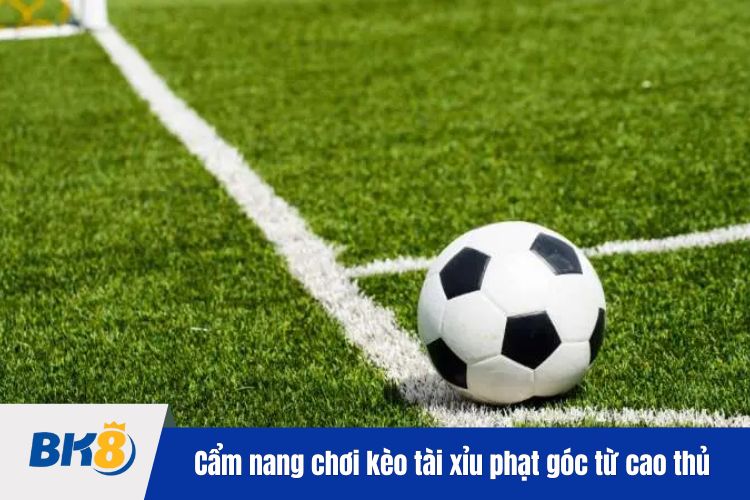 Cẩm nang chơi kèo tài xỉu phạt góc từ cao thủ